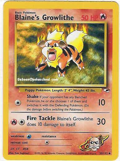 blaines_growlithe.jpg