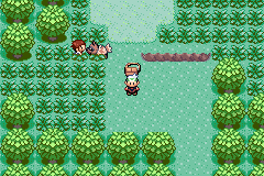 Pokemon Emerald 386 Edition XX _2009_01_01_00_03_40_699.png