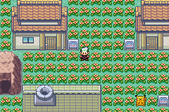 Pokemon Emerald 386 Edition XX _2009_01_01_00_02_39_938.png